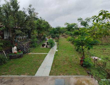 Lawn