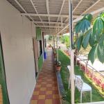Deluxe Cottages