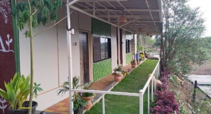 Deluxe Cottages
